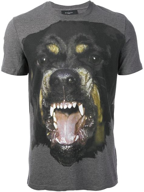 givenchy rottweiler shirt grey|givenchy t shirt with holes.